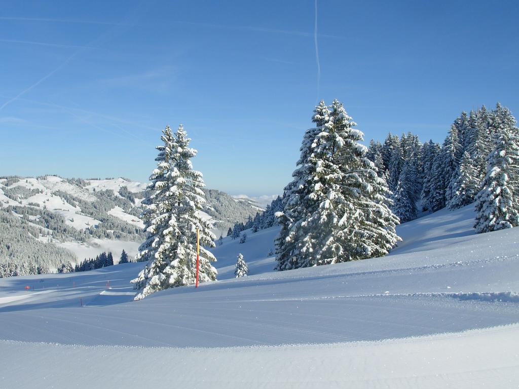 Studio Mythen Schwyz Exteriér fotografie